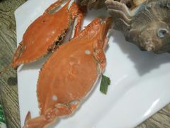 -云南巷海鲜大咖·可加工海鲜