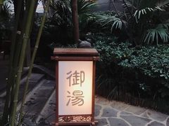 -西安国际创新人才交流中心•药浴温泉