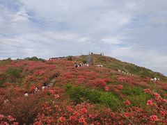 -大围山国家森林公园