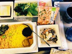 -全日本空输株式会社(上海办事处)