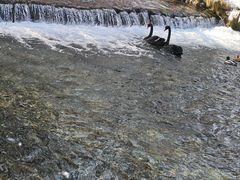 -水磨沟公园