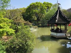 -上海醉白池公园
