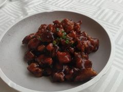 红烧羊肉-江南村酒家