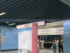 -大龙山(地铁站)