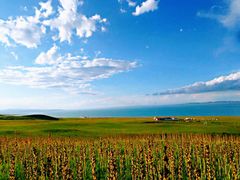 -青海湖国家重点风景名胜区