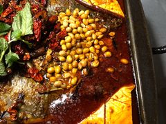 重庆豆花烤鱼-探鱼·鲜青椒爽麻烤鱼(东城万达广场店)