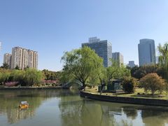-中央公园(苏州工业园区)