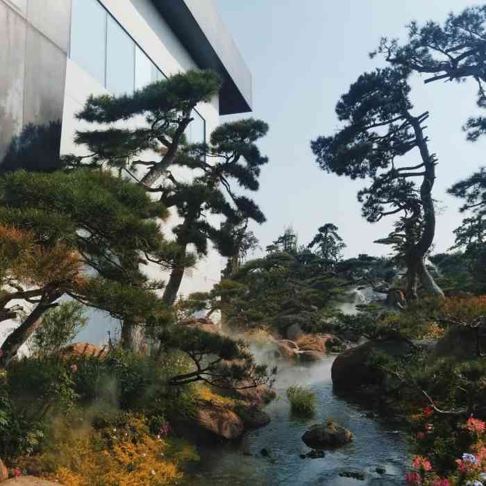 北京有好多家黑天鹅,这."-大众点评移动版