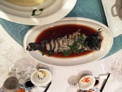 清蒸海参斑-久宴·天目湖大鱼头(恐龙园店)