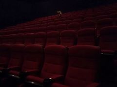 -万达影城(IMAX激光铁西万达广场店)