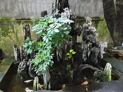 -壹零贰小馆(桂城石啃店)