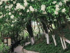 -幕燕滨江·燕子矶公园