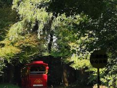 -上海共青森林公园