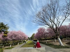 -白塘生态植物园