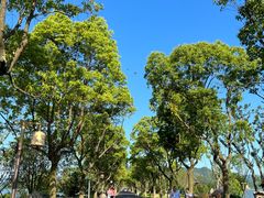 -东钱湖小普陀景区