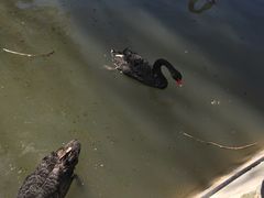 -新疆天山野生动物园