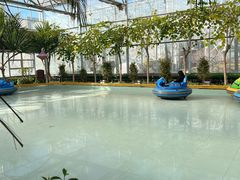 -南宫五洲植物乐园