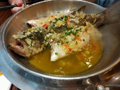 生焖鲈鱼-梁记粥铺(开元地中海店)