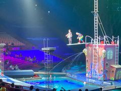 -广州长隆国际大马戏