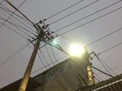 -桂萍特色牛筋牛杂(长堤街总店)