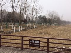 -绿堤公园