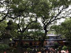 -普陀山风景名胜区-法雨禅寺