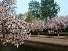 -元大都城垣遗址公园