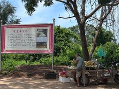 -硇洲岛旅游区