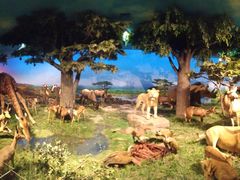 -国家自然博物馆