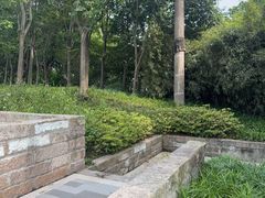 -龙盛活力小镇