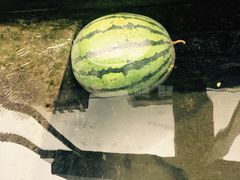 -泉乐坊步行街(烟酒特产平价超市店)