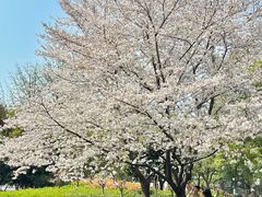 -IKEA宜家家居(南京商场)