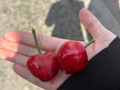 -名善山珍·野生菌汤锅(文殊院店)