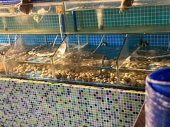 -渔家火锅·海鲜自助餐·演艺(亚龙湾天域酒店)