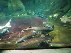 -福州罗源湾海洋世界旅游区