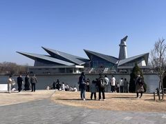 -盐城丹顶鹤湿地生态旅游区