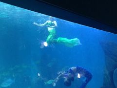 -常州海昌海洋探索馆