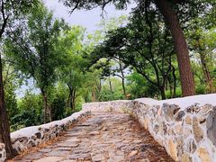 -阳台山自然风景区