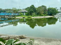 -广州长隆飞鸟乐园