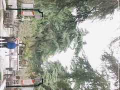 -明故宫遗址公园