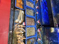 -吴记富苑(朝阳店)