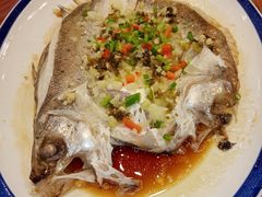 清蒸鲈鱼-丰圆轩粤式茶楼 . 点心粤菜(夏茅店)