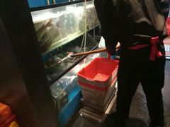 -老板恋上鱼(印象城店)