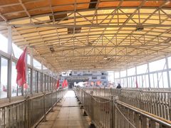 -武汉关码头(轮渡站)