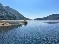 -腾冲北海湿地