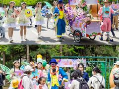 -长白岛森林公园