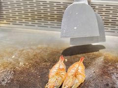 -大神太神·铁板烧(瑞虹天地月亮湾店)