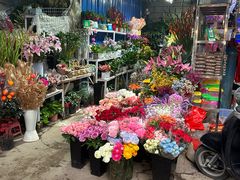 -桂林市花鸟市场