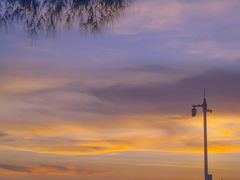 -宝安西湾红树林湿地公园