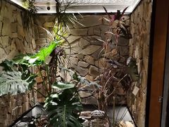 -陈熹公民族美食文化餐厅(中华广场店)